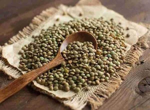 تصویر 1 از خرید و قیمت عدس سبز + فروش عمده
